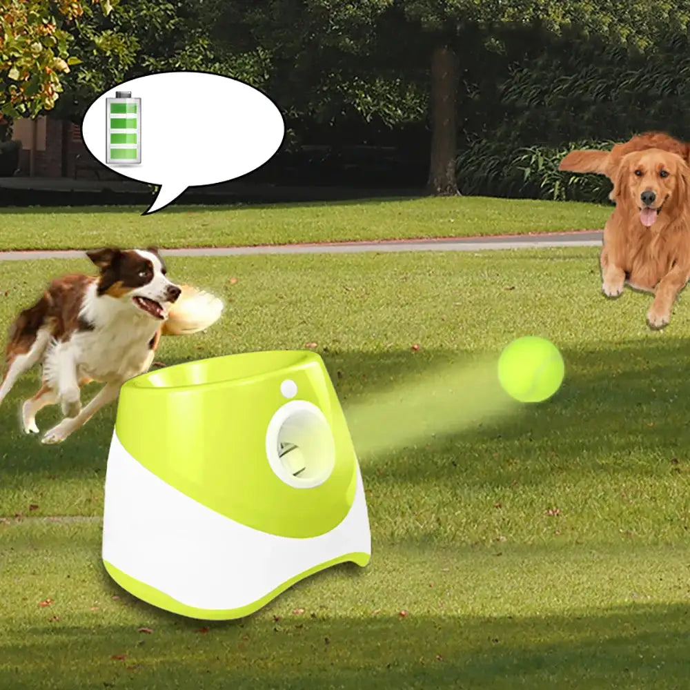 Hello to Fun! Goodbye to fatigue! Automatic Tennis Ball Launcher