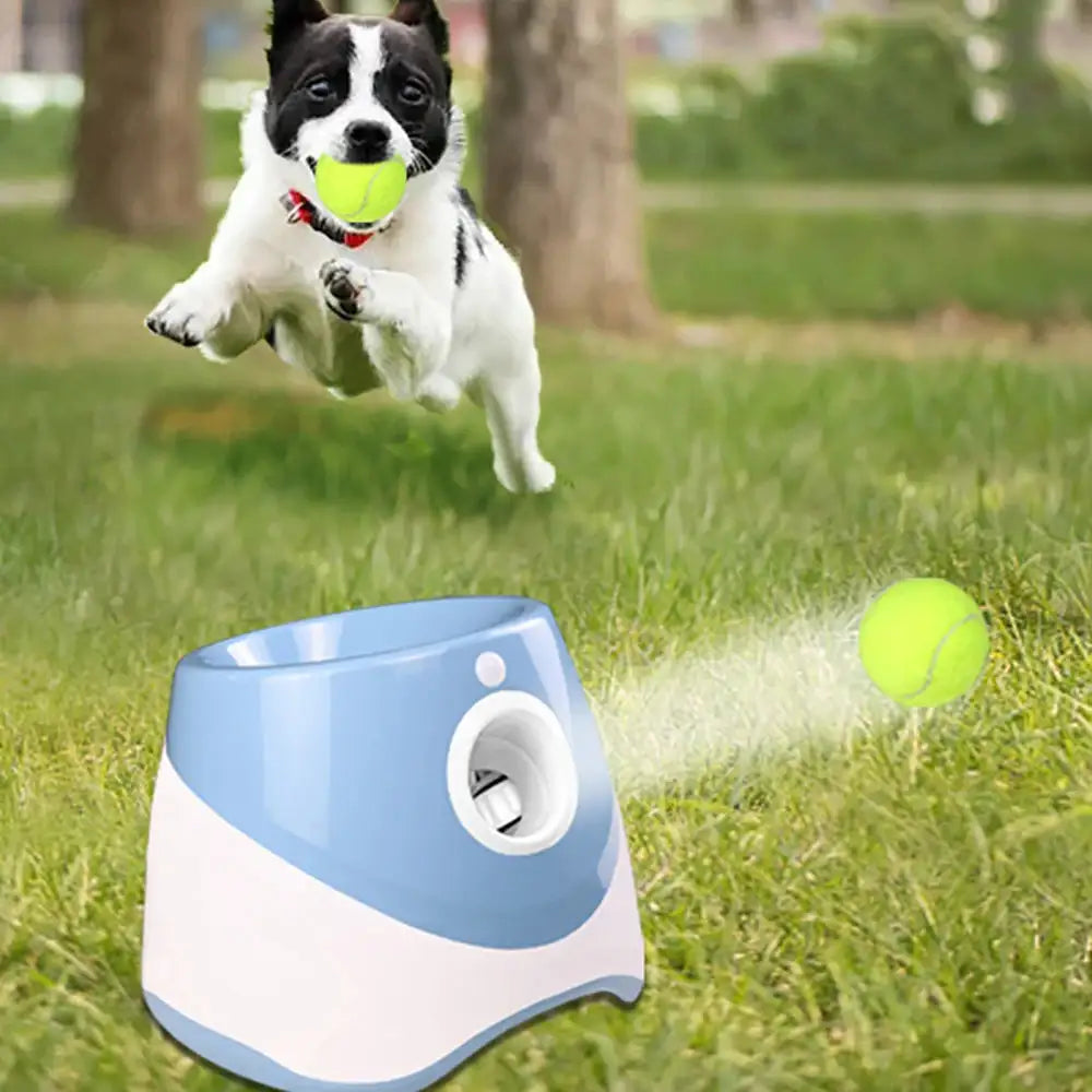 Hello to Fun! Goodbye to fatigue! Automatic Tennis Ball Launcher